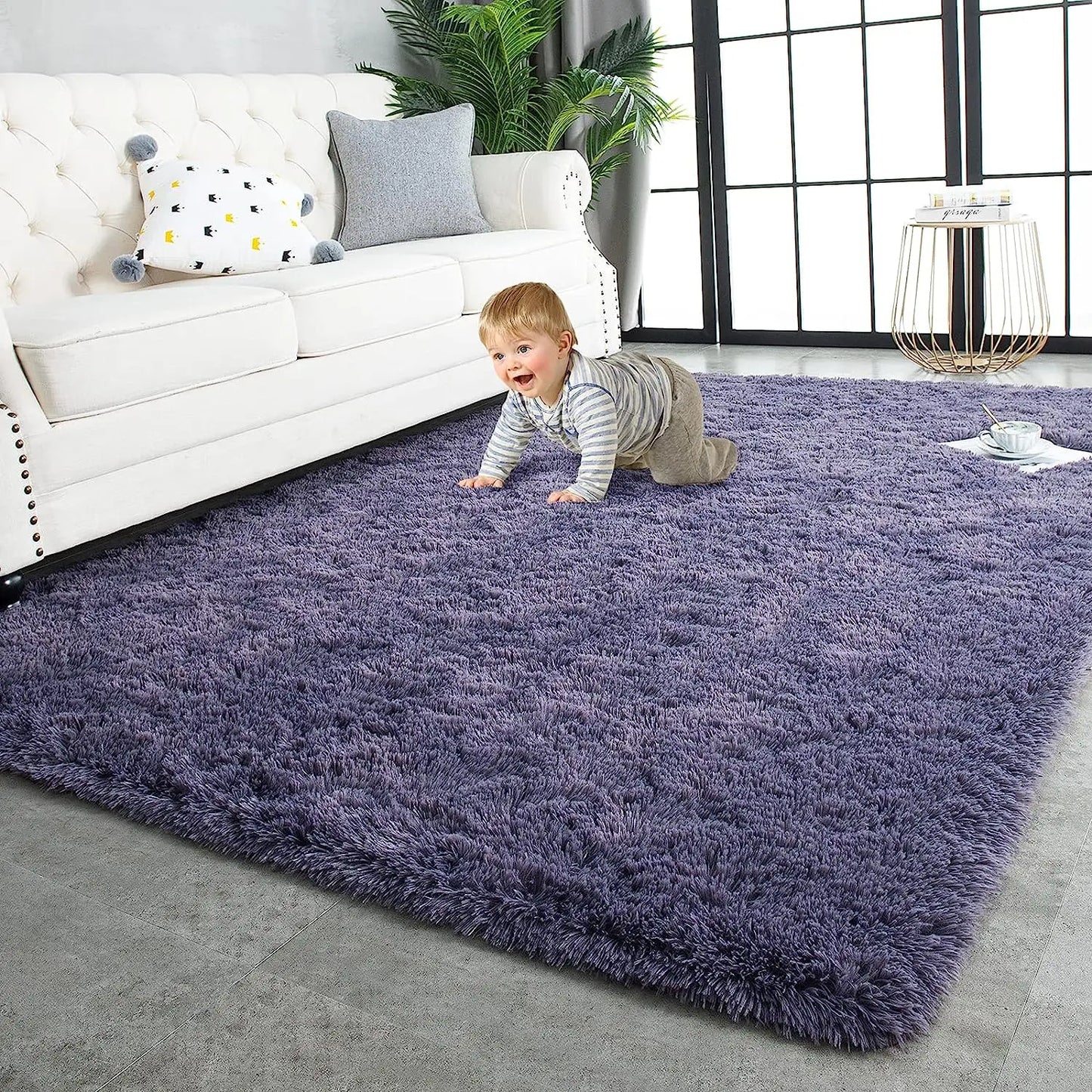 Noahas Fluffy Rugs for Bedroom Fuzzy Area Rugs for Living Room Soft Kids Carpet Non Slip Rugs for Hardwood Floors Room Decor